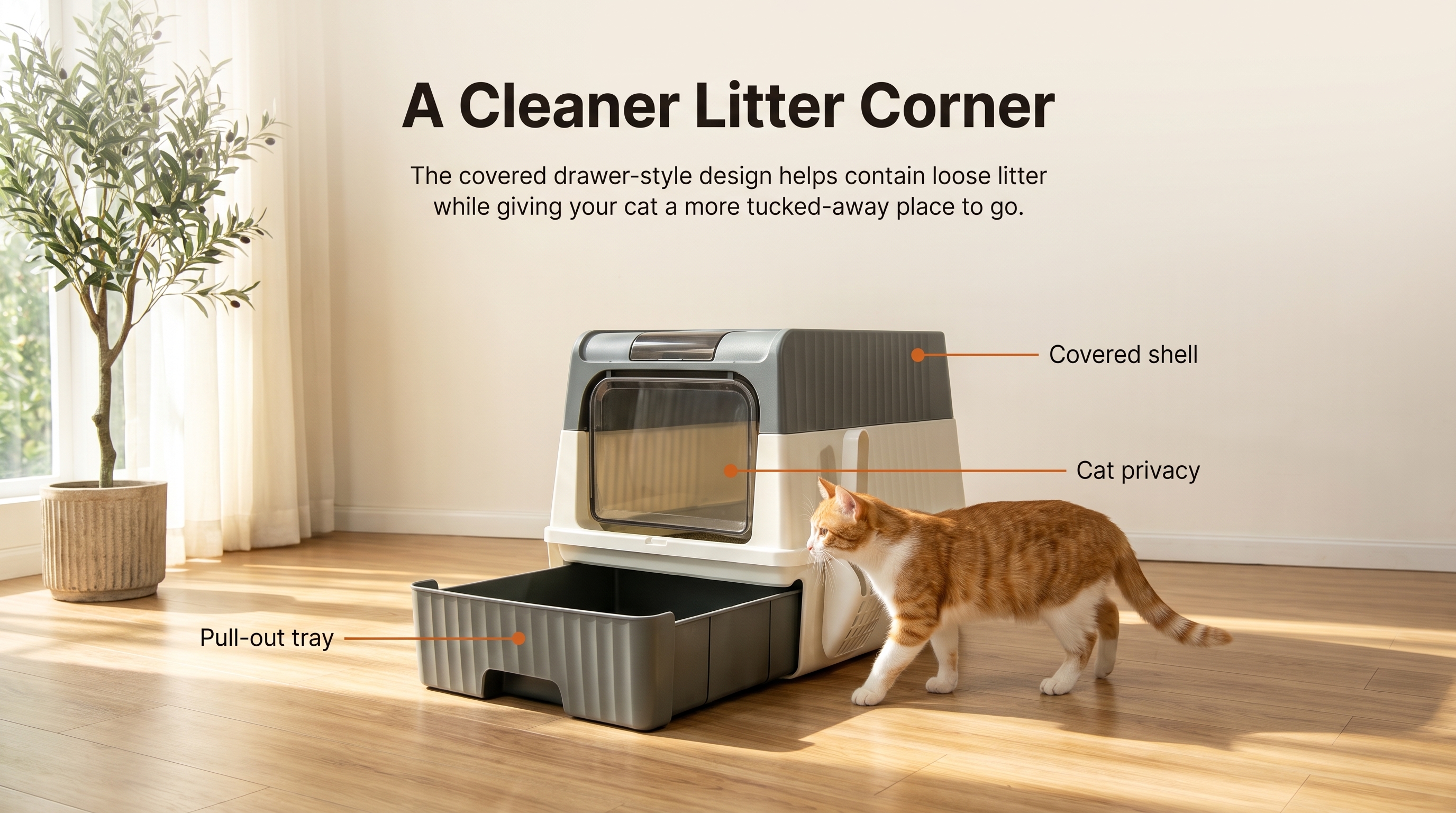 A Cleaner Litter Corner