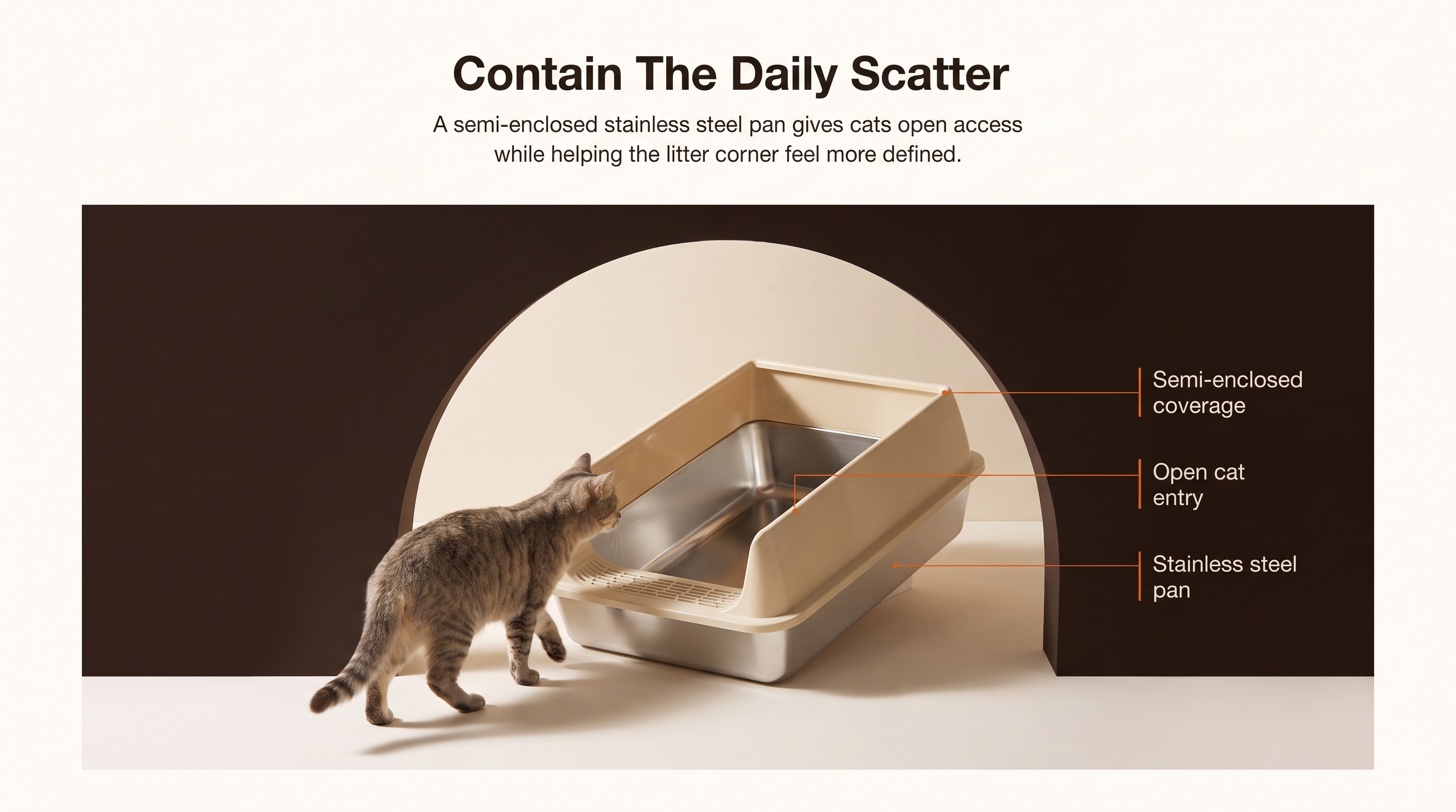 Contain The Daily Scatter